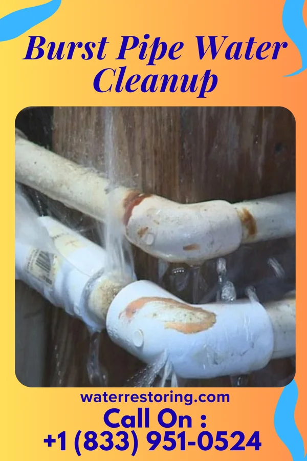 Burst Pipe Water Cleanup in Short Pump, VA