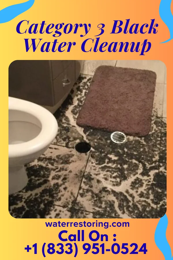 Category 3 Black Water Cleanup in Short Pump, VA