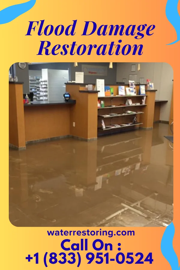 Flood Damage Restoration in Short Pump, VA