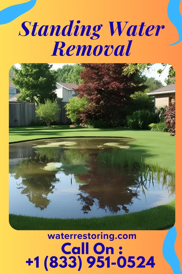 Standing Water Removal in Short Pump, VA